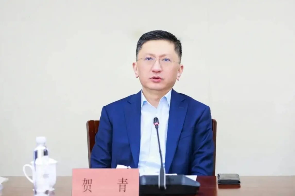 新任上海市副市長賀青。 圖：翻攝陸網/搜狐