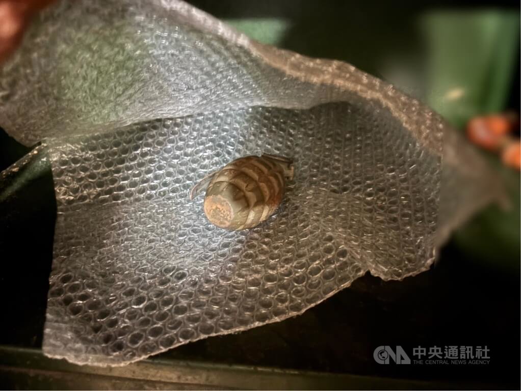 新北市新莊區有8旬老婦整理職業軍人退伍的丈夫物品，驚見疑似手榴彈，經警通報軍方處理時，研判為1:1仿真手榴彈，才結束這場虛驚。（翻攝照片）中央社記者王鴻國傳真  115年4月5日