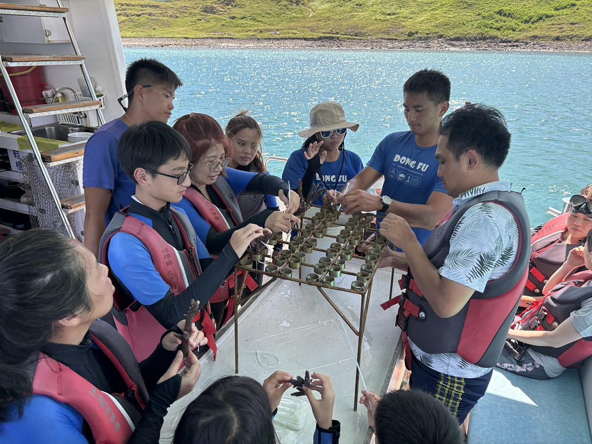 澎湖除了花火節外，還有結合海洋生態的「望安主題旅遊」3系列遊程，可以在4～8月旅遊旺季，邊欣賞澎湖海景，邊跟著當地導覽，以海龜的視角深度認識澎湖。 圖：翻攝自澎湖國家風景區管理處﻿臉書