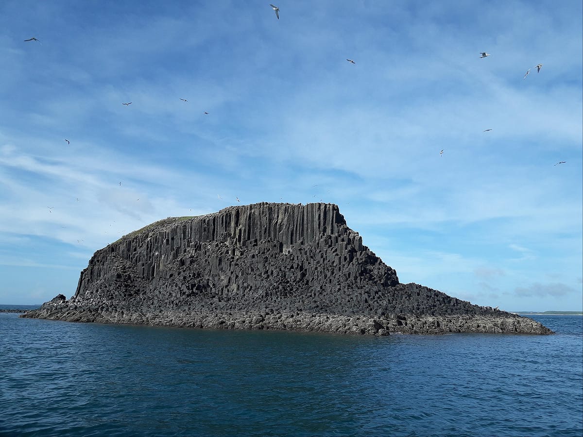 在澎湖海天一線的壯麗海景中，欣賞可愛的燕鷗相當愜意。 圖：取自澎湖縣政府