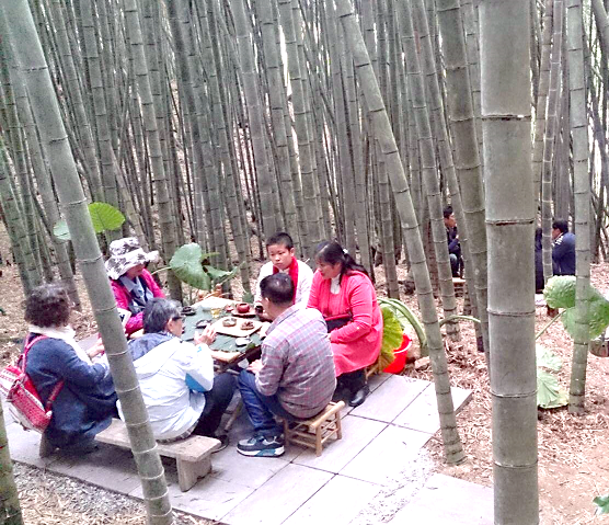 遊客品嘗阿里山高山茶。 圖：嘉義縣政府／提供