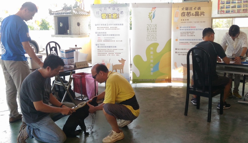 動保處請大家務必遵守「2不1要」原則，也就是「不接觸野生動物、不棄養家中寵物，要每年帶家中犬、貓施打狂犬病疫苗」，才能確保狂犬病不會在人畜間傳播。 圖：台中市政府/提供
