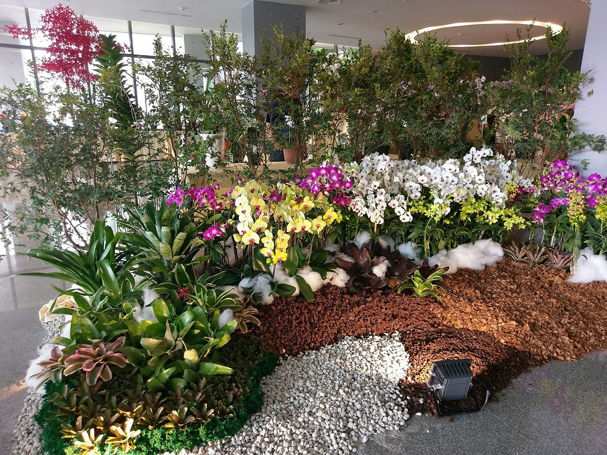 這次蘭花展參賽的蘭花共計多達373盆，由義美蘭園的賴清義所培育的「腎藥蘭」獲得總冠軍。 圖：淡江大學／提供