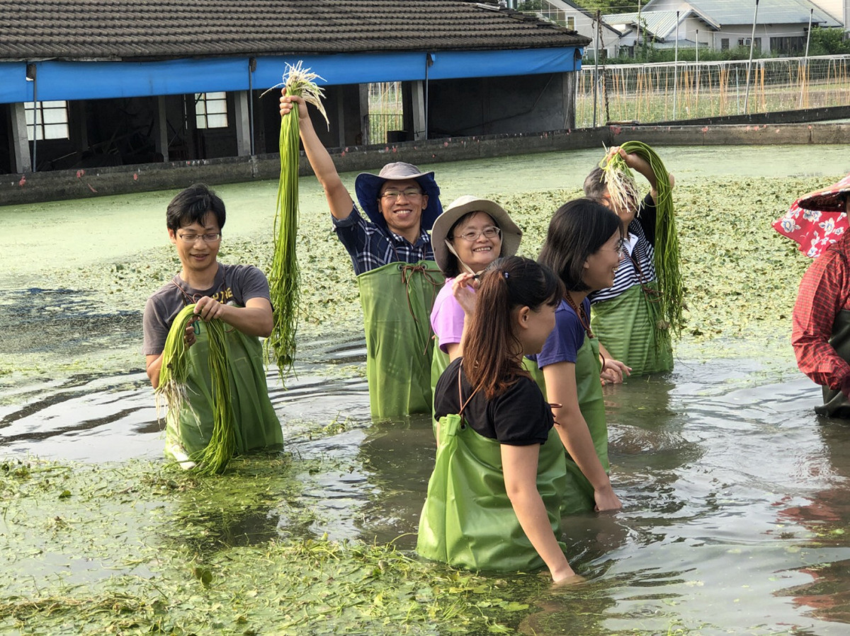 假日為自己安排一趟樸實的美濃之旅吧！在這個滇緬義胞村中，拉近人與人之間的距離，脫離城市喧囂，體驗獨特的滇緬文化。 圖：高雄市農業局提供