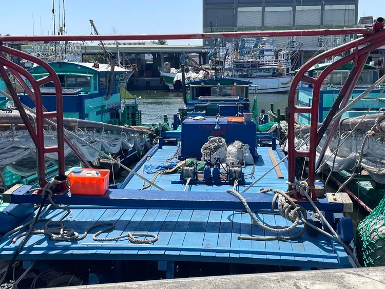 網船虐貓影片，網友查出地點在高雄林園中芸漁港。 圖：翻攝畫面