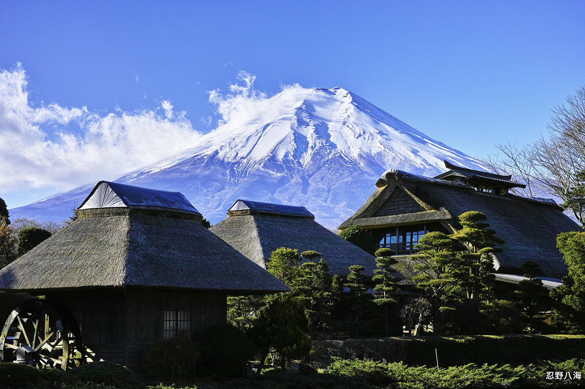 「航向我愛你-箱約富士山」母親節限定特惠活動，讓媽媽用用沖繩價玩東京。 圖：航典國際旅行社/提供