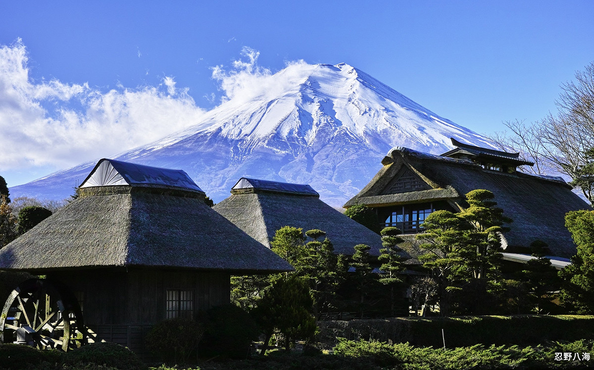 航典旅行社為癌末媽媽圓夢 母親月感動特惠沖繩價玩東京