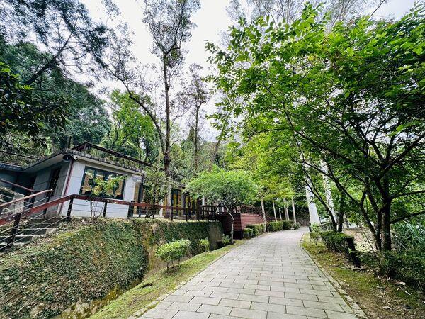 園區導入「前進前出」動線，由專業導覽人員帶領，走訪約1.6公里森林步道。 園：桃園市政府風景區管理處／提供