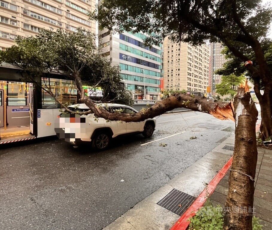 台北市基隆路1段附近24日1棵路樹疑被車輛扯斷，樹木倒向公車及多元計程車，警方已調閱監視器畫面來釐清肇事原因。（翻攝畫面）中央社記者劉建邦傳真　115年4月24日