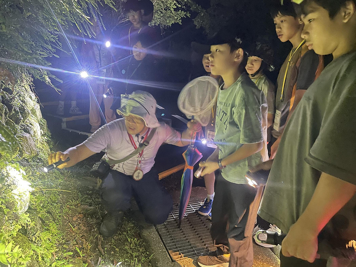 今年夏令營安排神祕的夜間生態觀察與野炊體驗。 圖：林業署花蓮分署／提供