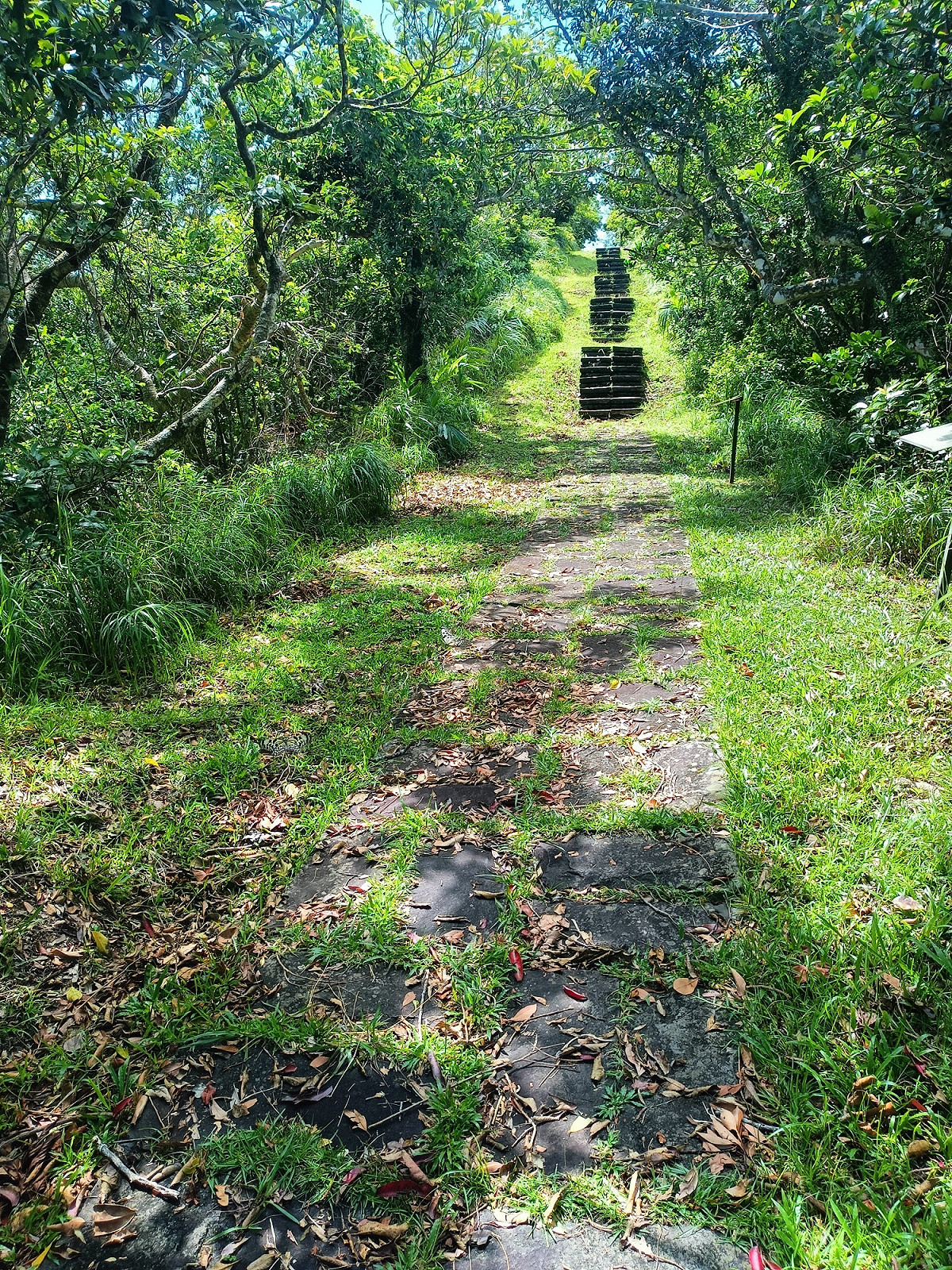 綠島過山古道尋寶記，5月1日至10月31日採預約參加，2人即可成團，安排專業解說員帶領遊客一窺奧妙。 圖：翻攝自綠島過山古道尋寶記臉書