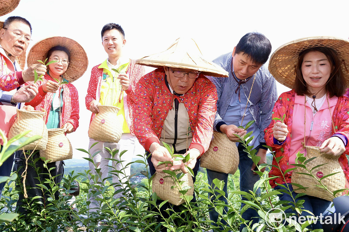 台南市長黃偉哲今日前往東山區的茶之魔手茶園出席「府城第一茗 東山鴻韻情」採茶記者會，宣布東山區茶葉正式進入採收期，象徵台南邁入茶葉生產新階段。 圖：台南市政府提供