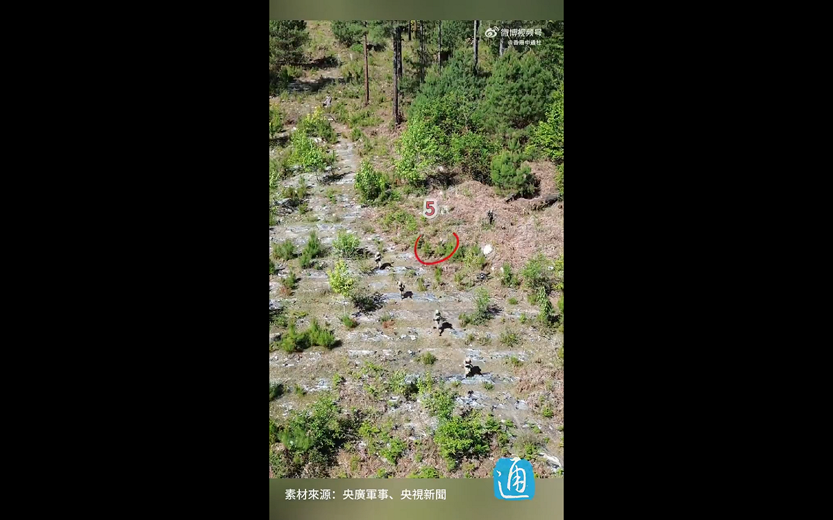 一段中國偵察兵進行野外偽裝的影片在網路上迅速竄紅。 圖:翻攝自影片