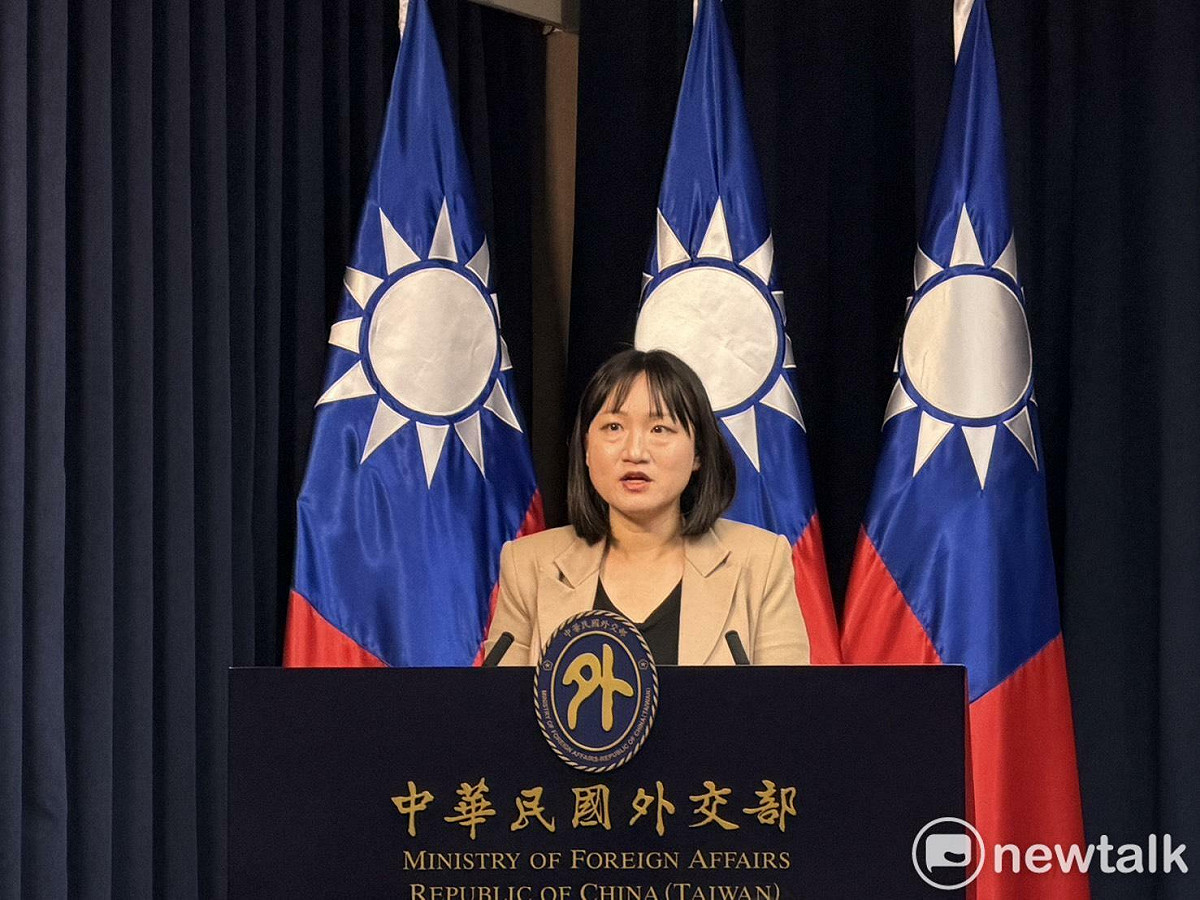 國合會副秘書長謝佩芬。 圖：高逸帆／攝