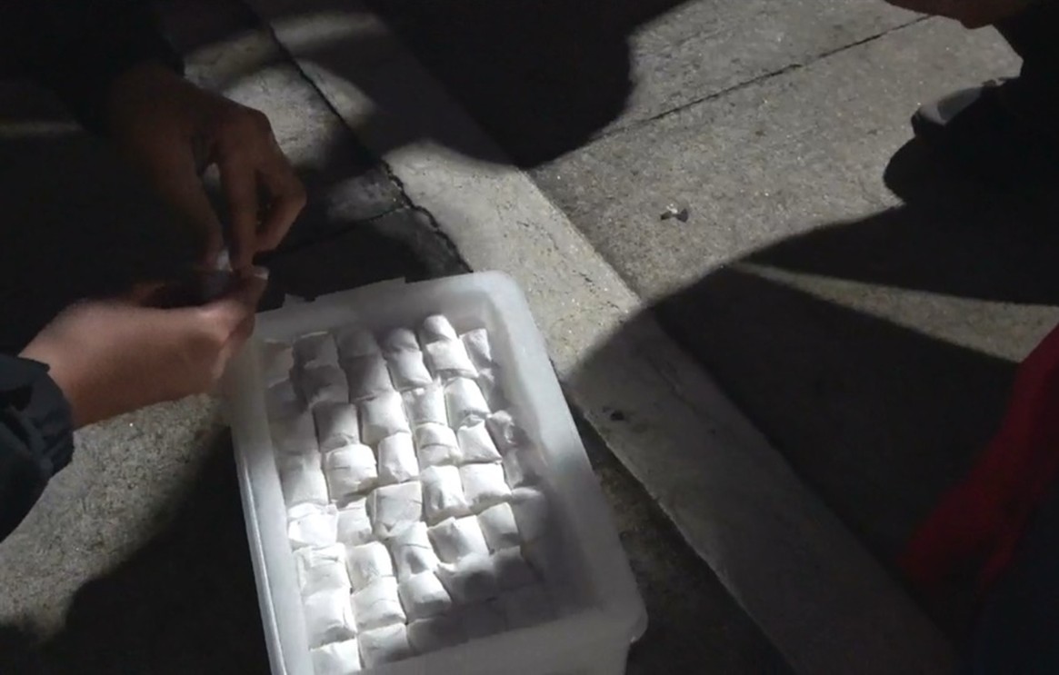 專案小組搜索查獲走私未遂的鸚鵡蛋。  圖：海洋委員會/提供