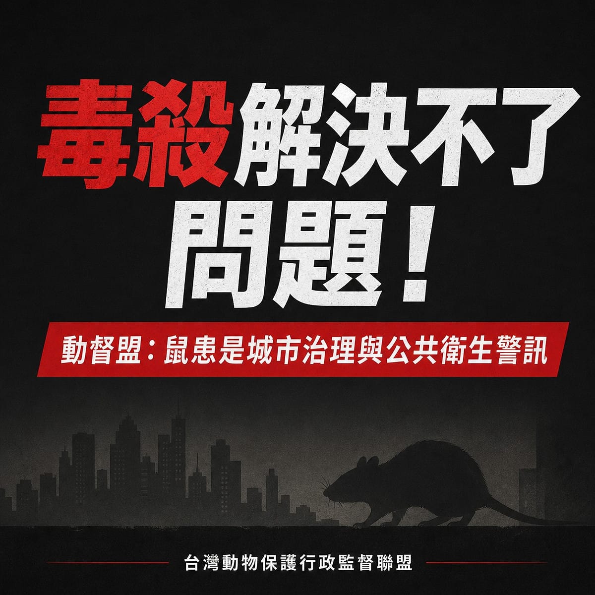 台灣動物保護行政監督聯盟表示，毒殺解決不了問題，鼠患是城市治理與公共衛生的警訊。 圖：動督盟提供