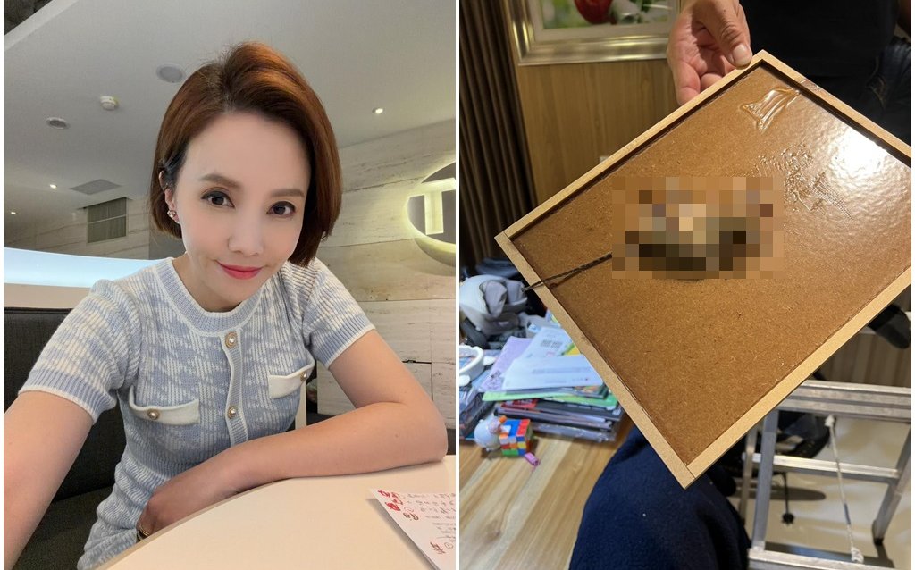 高層住宅也遭鼠患！主播王偊菁洗冷氣「驚見老鼠」 網：快送給王鴻薇
