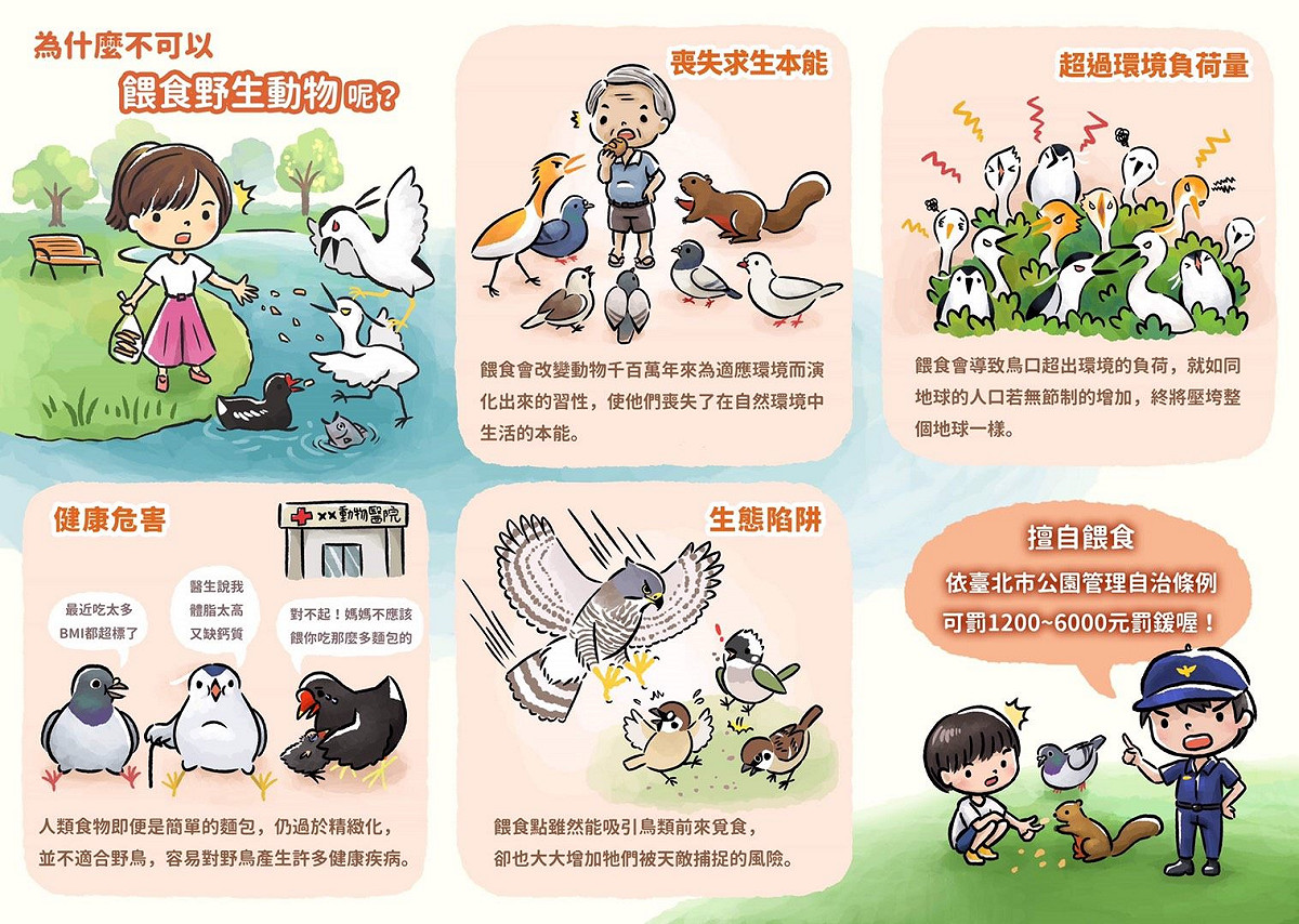 針對北市「安鼠之亂」引關注，工務局公園處宣布5月起加強取締公園餵食野生動物。 圖：北市工務局公園處 / 提供