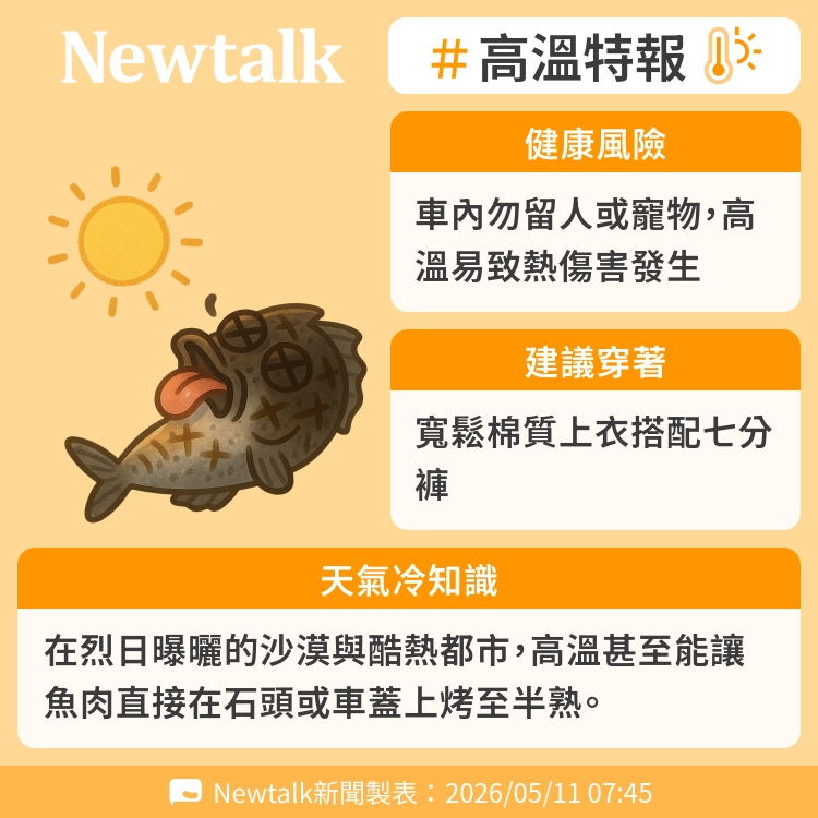 在烈日曝曬的沙漠與酷熱都市，高溫甚至能讓魚肉直接在石頭或車蓋上烤至半熟。 圖：Newtalk製表