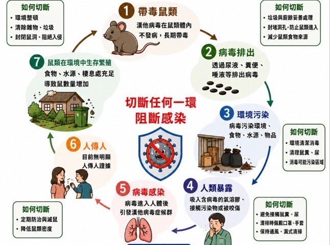 切斷他病毒感染環圖卡。 圖：高雄市衛生局/提供