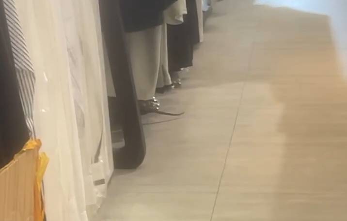 新堀江商圈大老鼠鑽入服飾店，嚇壞女店員。 圖：許采蓁服務處/提供