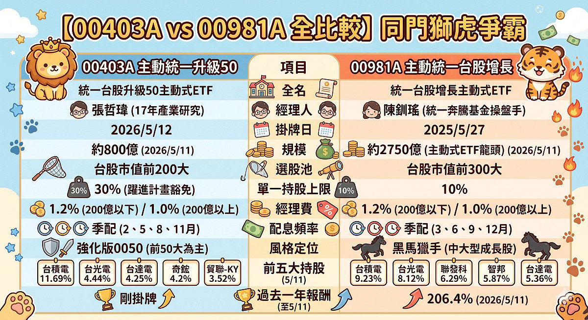 00403A與00981A比較圖。 圖:  峰哥的投資思考筆記粉專