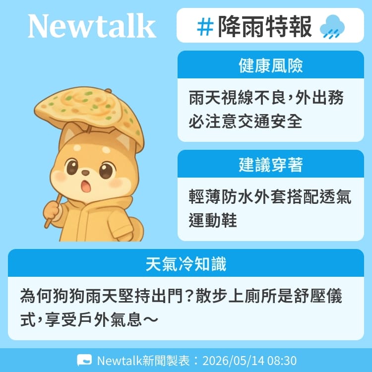為何狗狗雨天堅持出門？散步上廁所是舒壓儀式，享受戶外氣息～ 圖：Newtalk製表