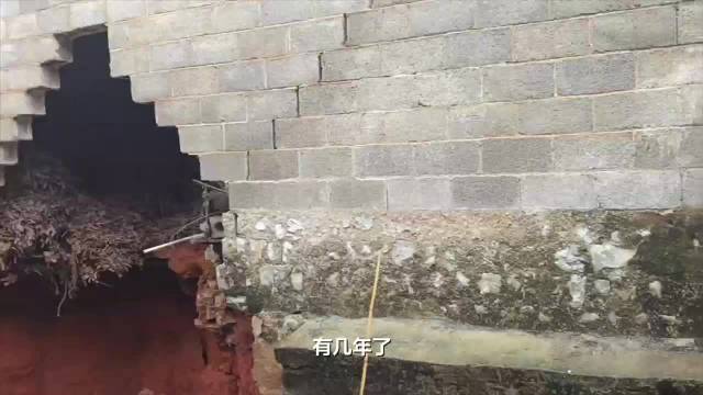 廣西省平南縣廊廖村近期接連發生多起地面塌陷事件，甚至導致村內部份建築圍牆坍塌，不斷發生的坍塌也迫使當地政府展開調查。 圖：翻攝自 新京報