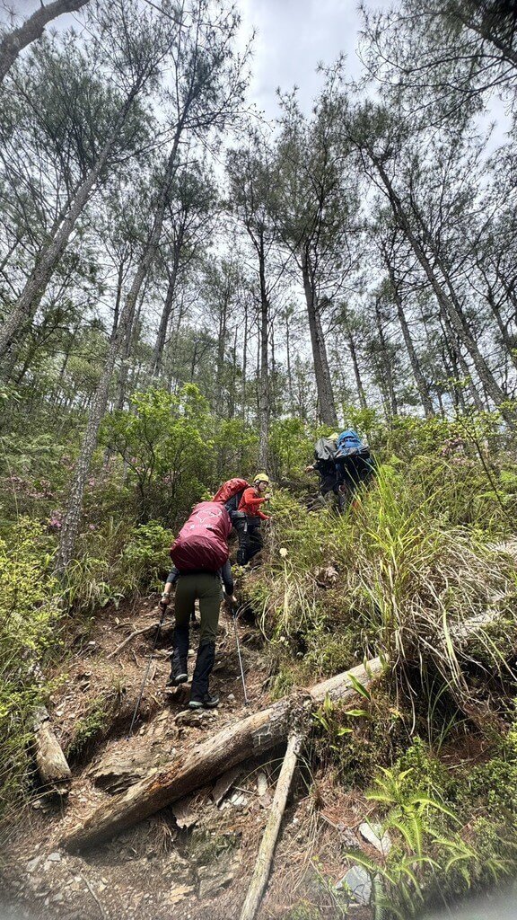 台中市消防局5日接獲報案，1名女登山客在5月1日獨攀雪山志佳陽線，與親友失聯，消防局獲報連日來派遣人員上山搜救，18日以空拍機發現疑似登山客遺體。（民眾提供）中央社記者趙麗妍傳真　115年5月18日