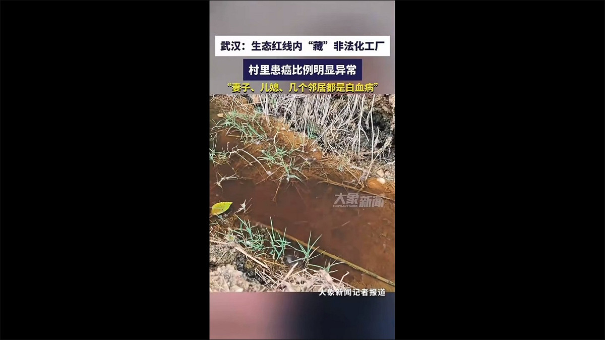 近期有外媒報導稱，湖北省武漢市一個長住居民不到 600 人的小村落內，在近十餘年的時間內有多達 62 人罹患癌症或白血病，當地居民懷疑此現象可能與村莊周邊化工廠排放的汙水有關。 圖：擷取自 @cuichenghao X 分享影片