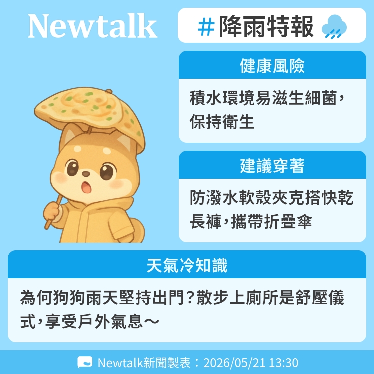 為何狗狗雨天堅持出門？散步上廁所是舒壓儀式，享受戶外氣息～ 圖：Newtalk製表