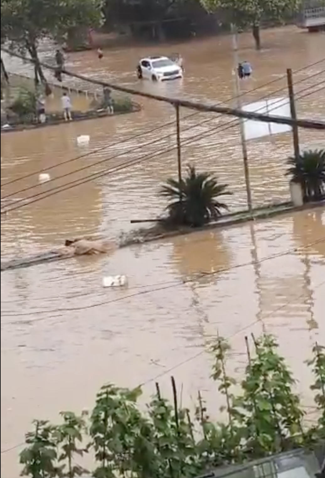 重慶永川區遭遇特大暴雨，引發山體滑坡與淹水，目前已造成17人失聯、1人死亡。 圖：翻攝自 X @wangjupaian