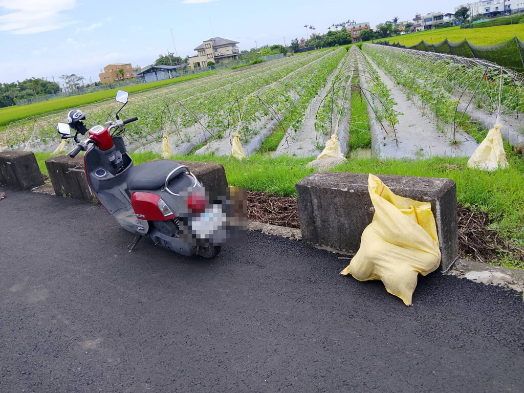 越南籍3阮姓失聯移工23日涉嫌在宜蘭縣壯圍鄉偷摘哈密瓜，遭警方查緝時直接將哈密瓜及機車丟在路旁、躲進稻田，隨後還爬上鐵皮屋頂與警方僵持，經勸說才就逮。（壯圍鄉新南村長葉慶文提供）中央社記者王朝鈺傳真　115年5月24日