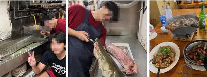 將鱷雀鱔的料理過程PO上網引發網友怒火。 圖：翻攝自臉書