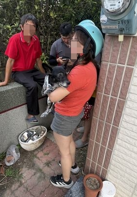 懸賞50萬愛犬「美琪」 65歲阿北找到了 飼主感動落淚