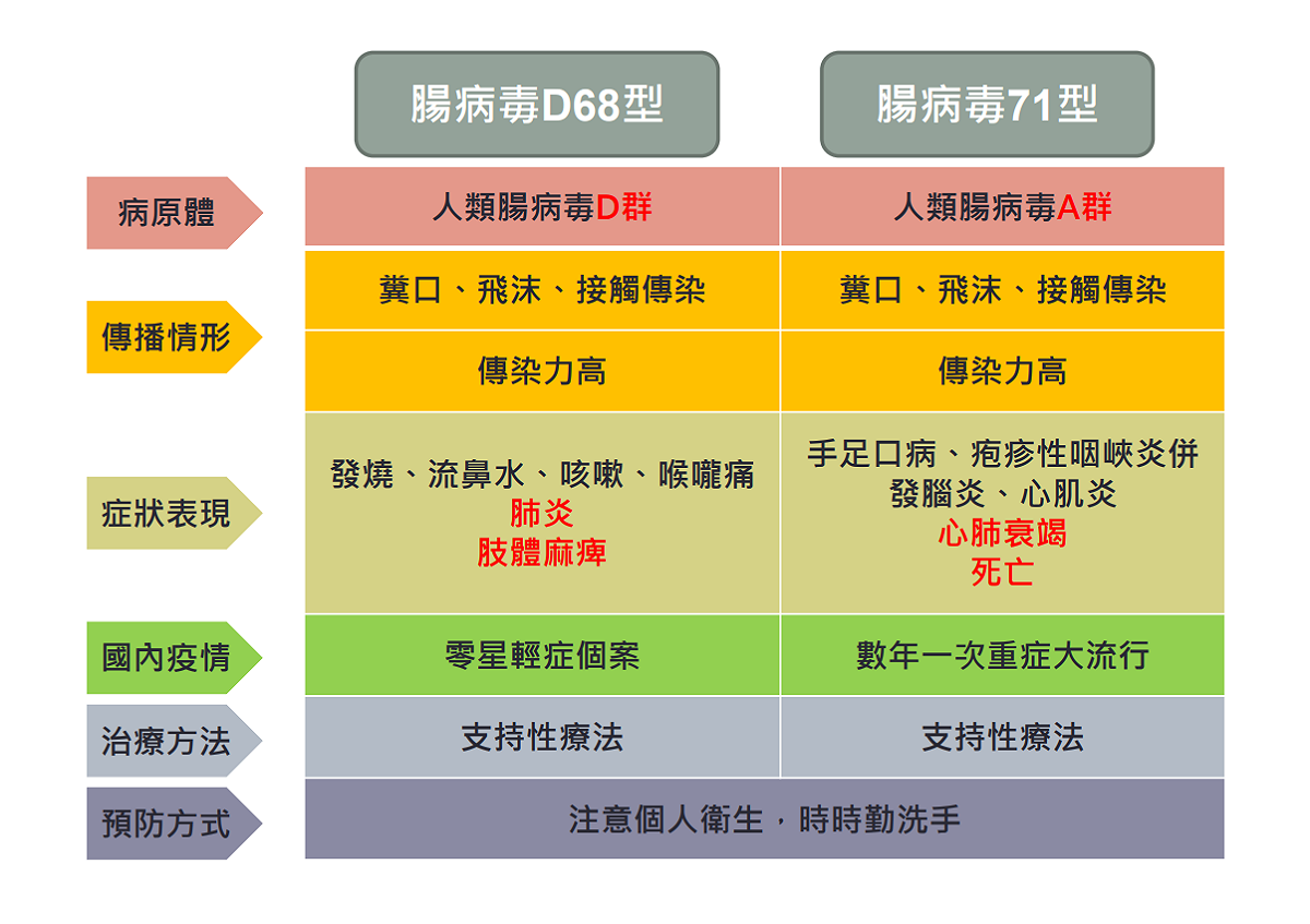 圖為腸病毒D68型與71型比較表。 圖：衛福部提供