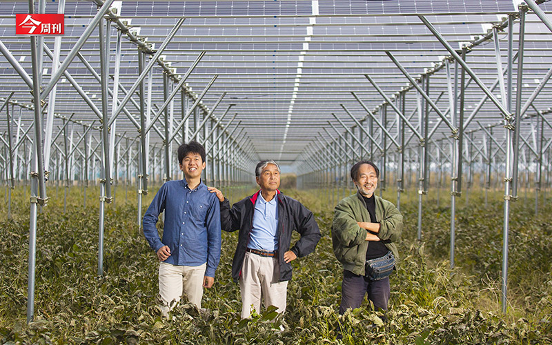 位於山中的這座發電廠，占地2萬6千多平方公尺，整片太陽能板幾乎鋪到山的另一頭。2011年，311大地震重創日本，核電廠的意外，對福島這塊土地造成無法挽回的傷害。 圖：今週刊／提供