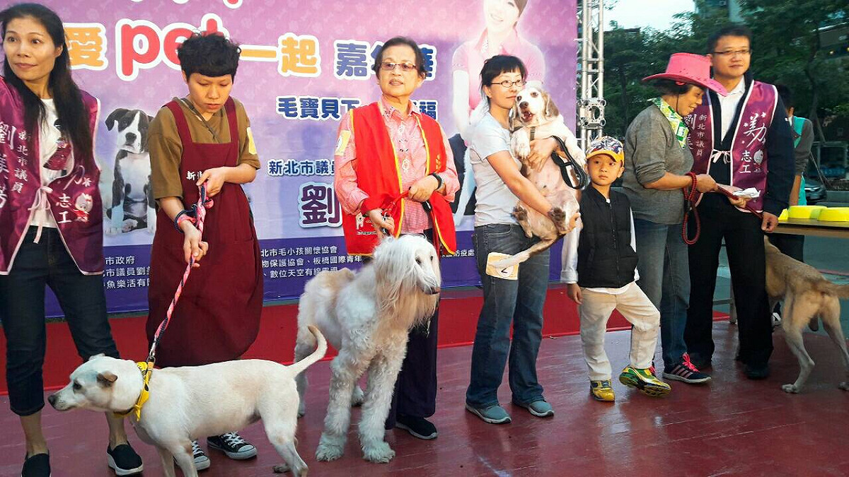 新北市毛小孩關懷協會、新北市動保處今天舉辦寵物走秀認養趴，現場非常熱鬧，4小時就有9隻貓狗被認養。 圖：翻攝動保處