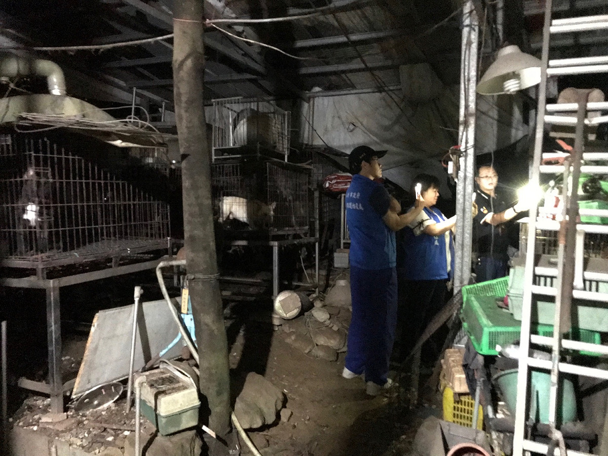 新北市動保處昨天深夜，在三峽偏僻山區查獲一處大型的非法繁殖狗場，現場環境凌亂不堪。 圖 : 翻攝新北市動保處網站