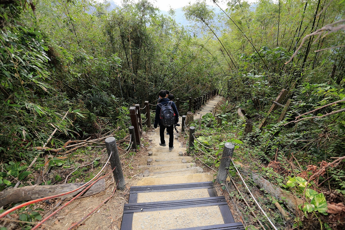台中市目前列管的登山步道有47條，長度約95.2公里，未來還要再新建13條步道，總長34.8公里，不管是親子級、休閒級、健腳級、挑戰級通通有，想登山？來趟台中小旅行吧！ 圖：台中市政府/提供