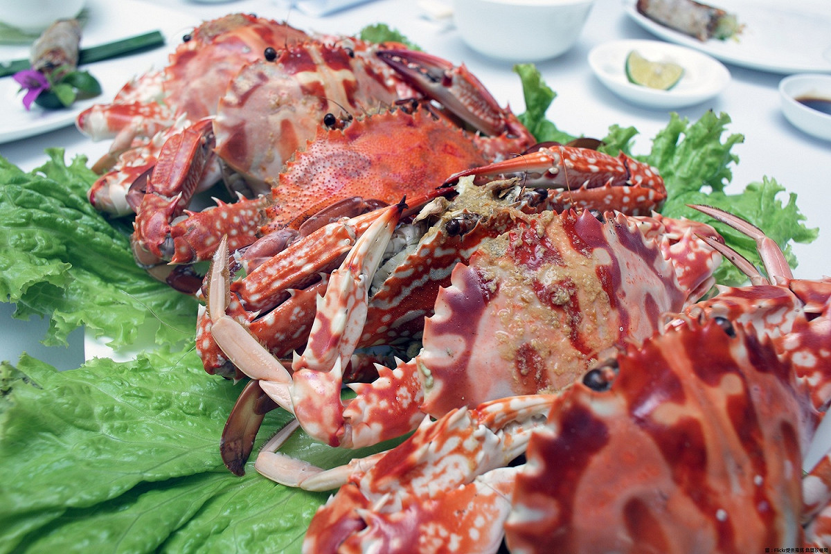 想吃海鮮、買優惠、見大廚，這個週末不妨走一趟台中梧棲漁港，現場舉辦「2017台中梧棲漁港鮮魚季」，3千份創意海鮮料理免費品嘗，還有知名主廚詹姆士、郭主義到場炫技，新鮮魚產通通在面前任你選購。圖為海鮮料理示意圖，非本次活動料理。 圖：Flickr提供嘉銘 詹開放權限