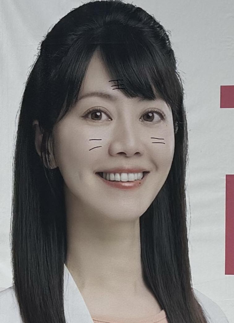 民進黨前立委高嘉瑜看板遭塗鴉。 圖：翻攝高嘉瑜臉書