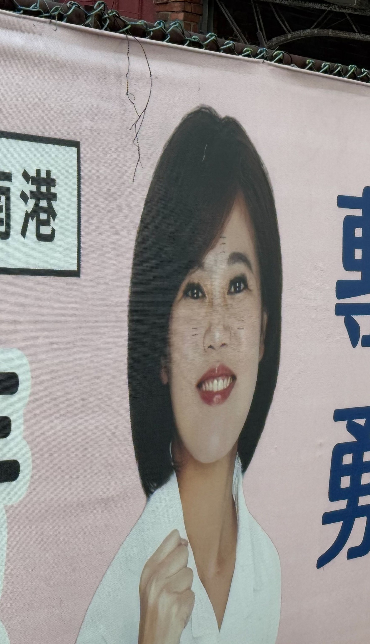 國民黨台北市議員游淑慧看板遭塗鴉。 圖：翻攝游淑慧臉書