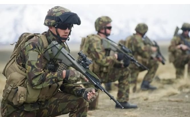 紐西蘭部隊在韓國參與兩棲登陸聯合演習。 圖 : 翻攝自止戈軍是我