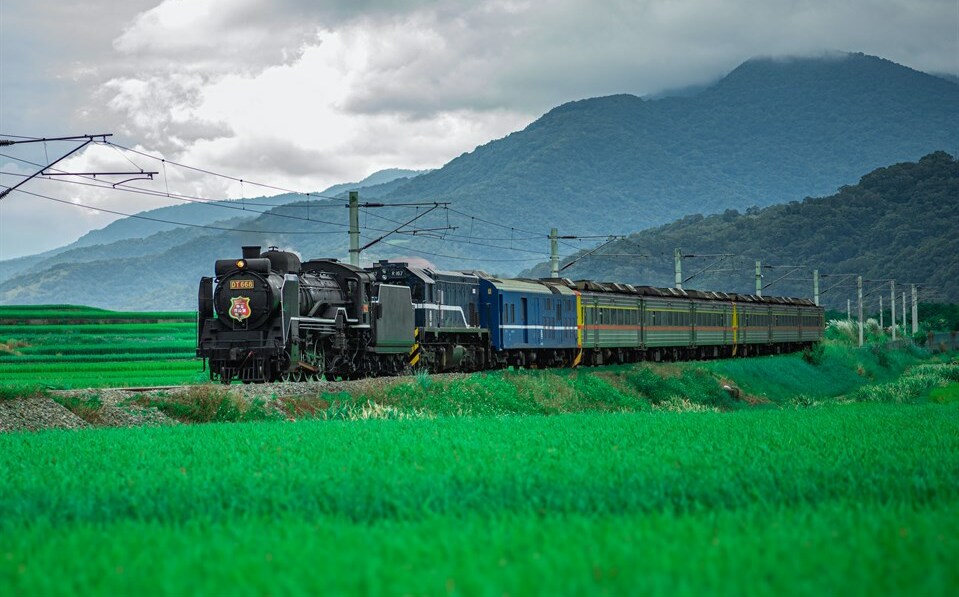 夏日限定花東鐵道之旅！仲夏寶島號暑假啟程 6/15限量開搶