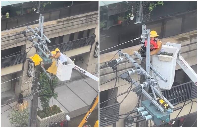 台電員工升級鳥巢的暖舉獲網友盛讚。 圖：翻攝自Threads
