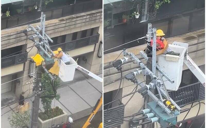 台電維護時暖舉引爆討論！搭建新鳥巢獲網盛讚：直接原地都更