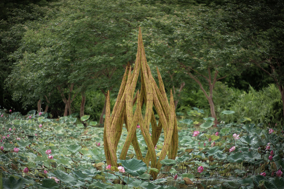 《Emergence》英國作者Tim Norris以在地取材的綠竹編織成蓮花，象徵生命自土地湧現與向光而生的希望。 圖：農業部／提供