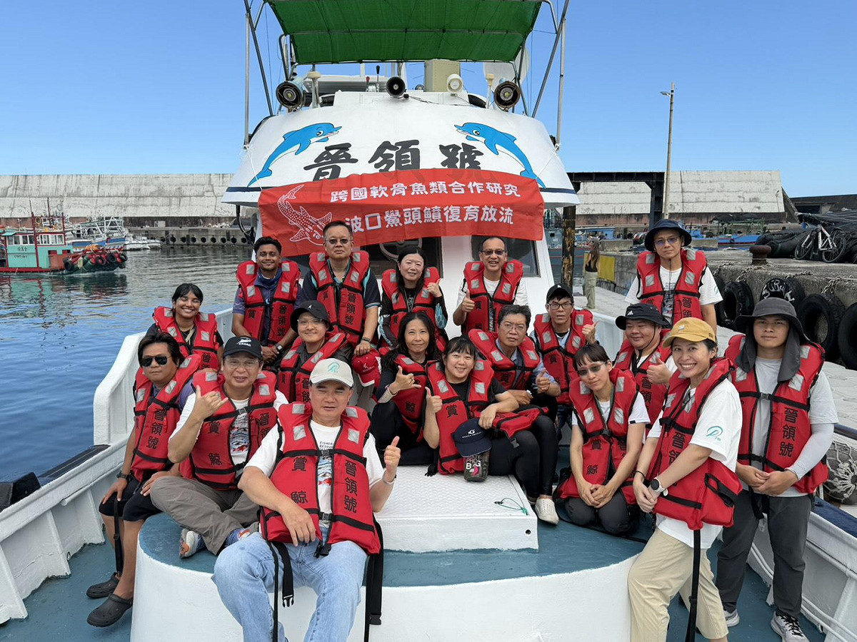 海委會海保署委託高科大執行波口鱟頭鱝跨國標識放流作業。 圖：高科大/提供