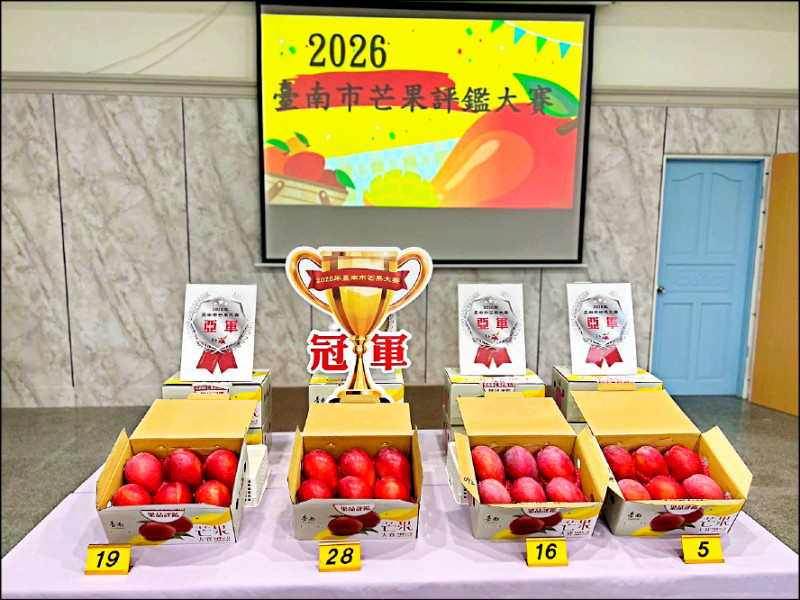 台南愛文芒果評鑑50農友角逐，南化果農林于修以高品質奪冠。 圖：南市農業局／提供